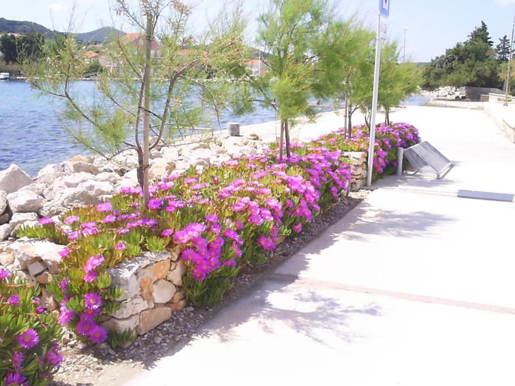 Beach Apartment M & B Poljana  Exterior foto